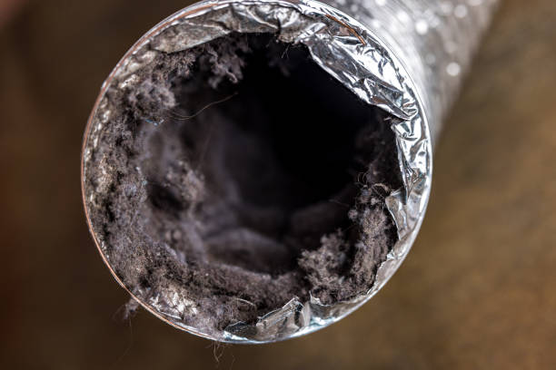 Best Affordable Air Duct Cleaning  in Bainbridge Island, WA