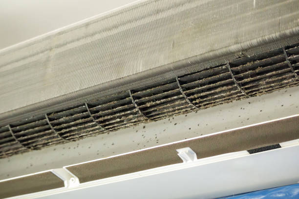 Best Commercial Air Duct Cleaning  in Bainbridge Island, WA